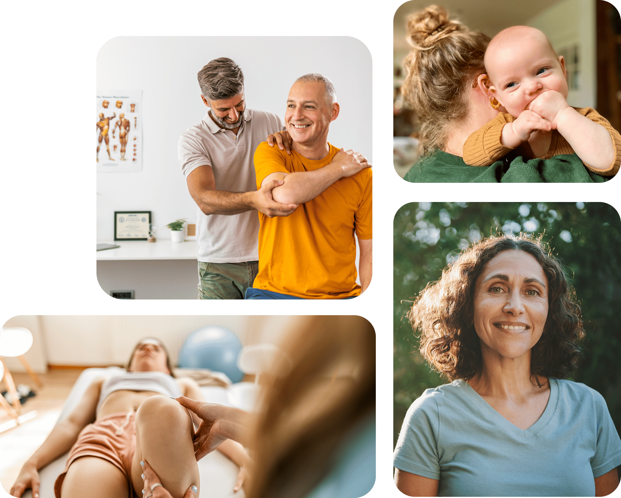 Physica_muskel_skjelett